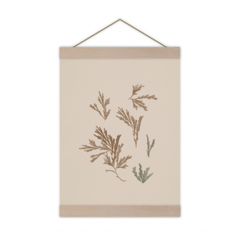 Monsieur Papier - Poster Algae