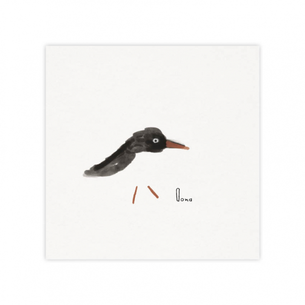Monsieur Papier - Faire-part naissance Huîtrier