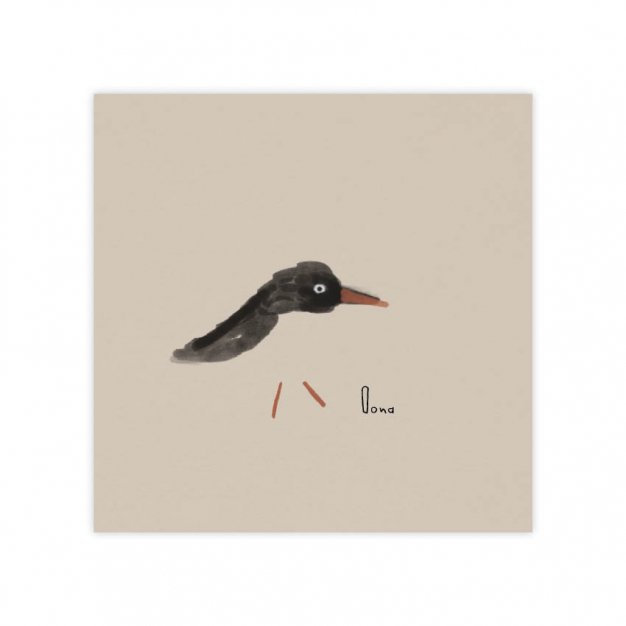 Monsieur Papier - Faire-part naissance Huîtrier