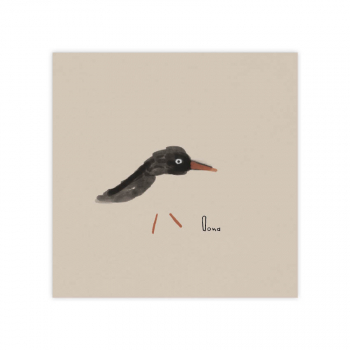 Monsieur Papier - Faire-part naissance Huîtrier