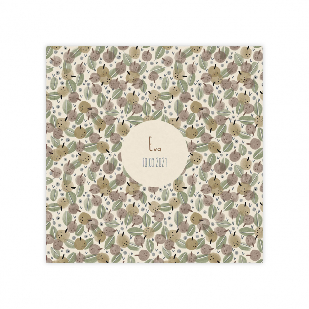 Monsieur Papier - Faire-part naissance Verger 2