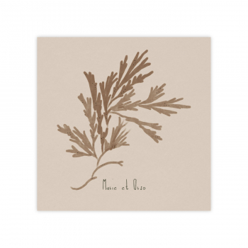 Monsieur Papier - Faire-part mariage Dulse
