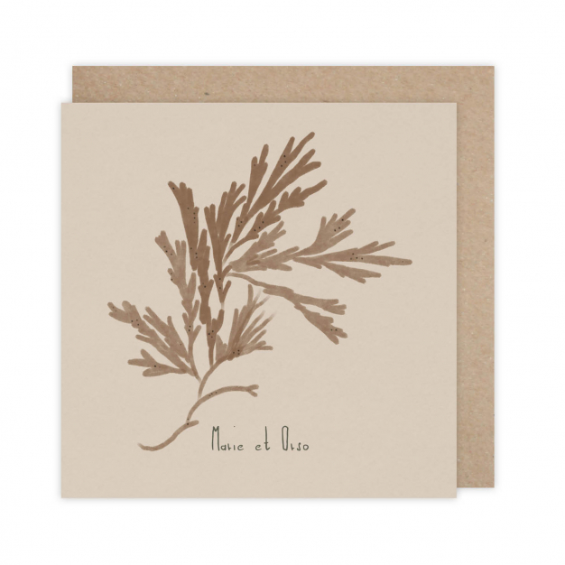 Monsieur Papier - Faire-part mariage Dulse