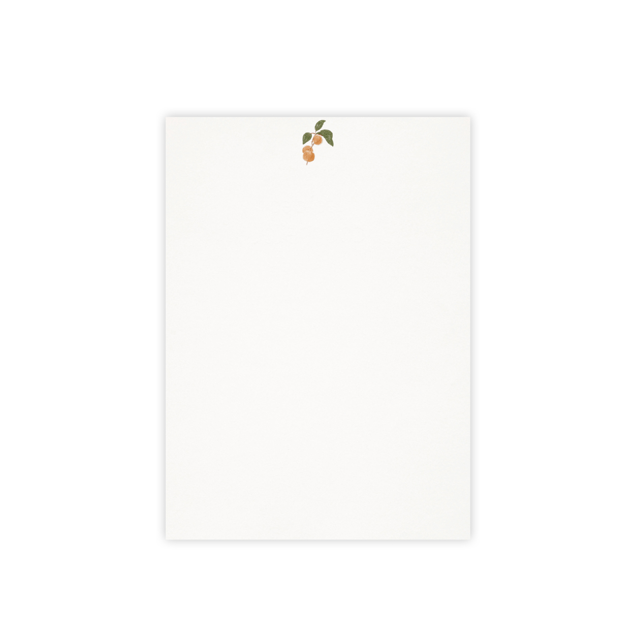 Monsieur Papier - 20 feuillets Sorbet