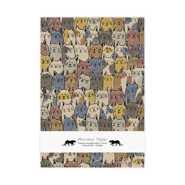 Monsieur Papier - Notebook M Cool Cat