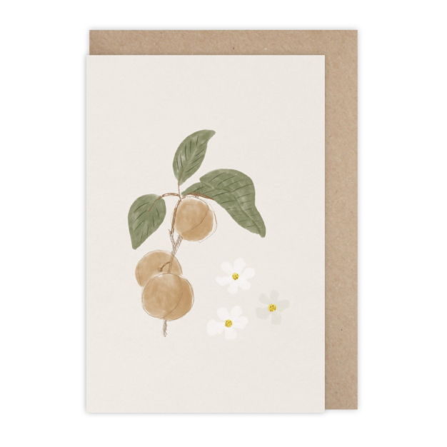 Monsieur Papier - Card Abricots