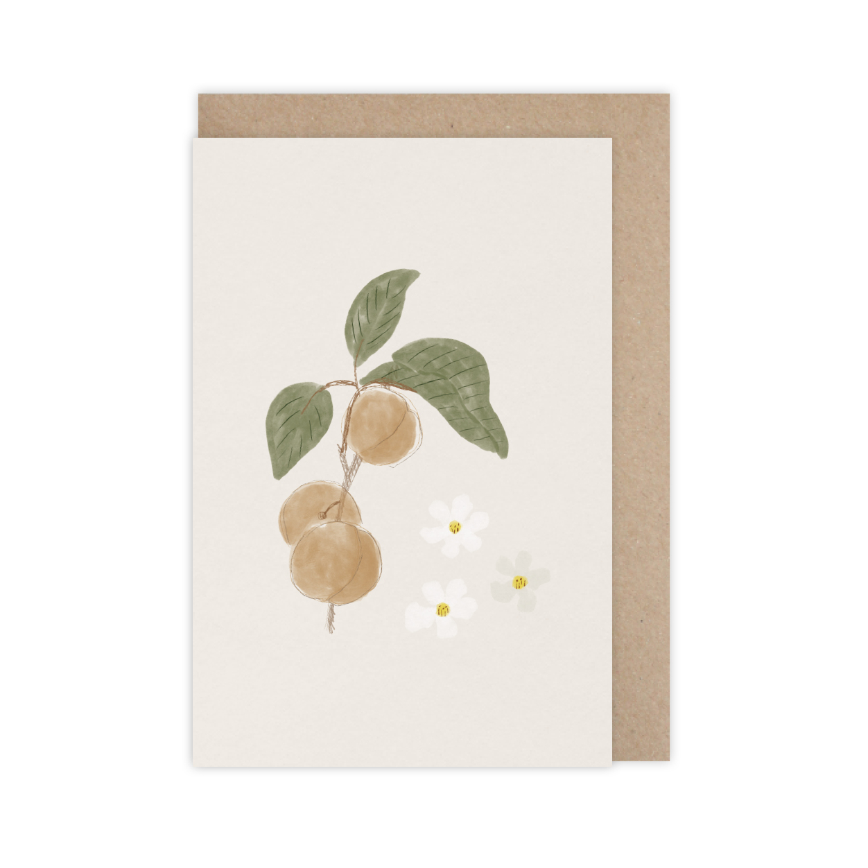 Monsieur Papier - Card Abricots