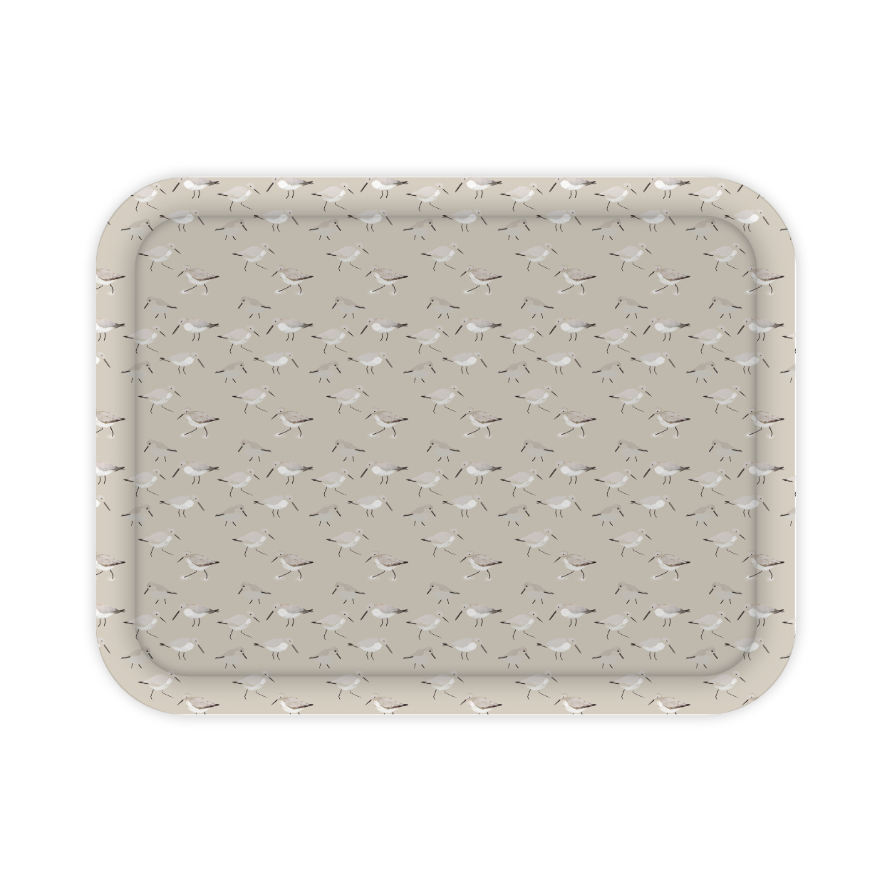 Monsieur Papier - Large tray Limicoles