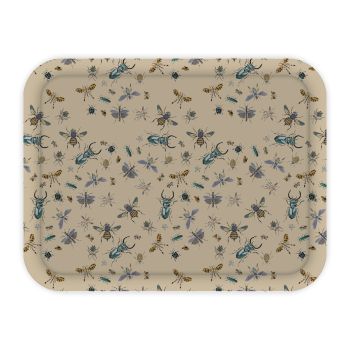 Monsieur Papier - Large tray Métamorphoses