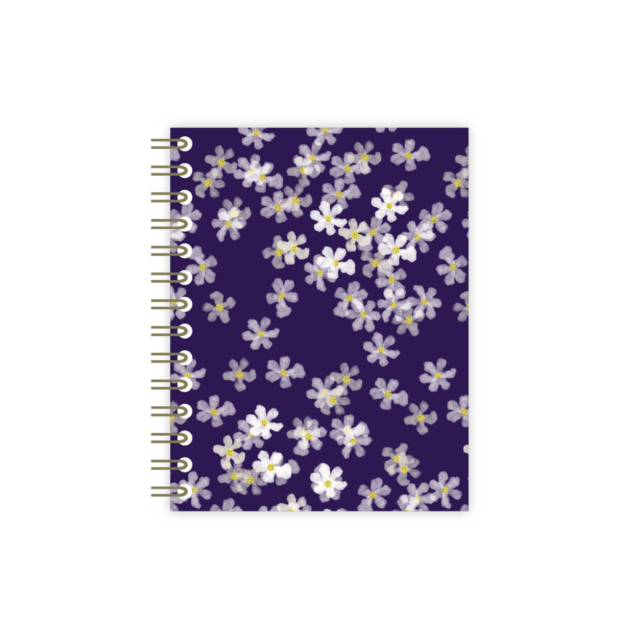 Monsieur Papier - Carnet à spirale Blue Spring