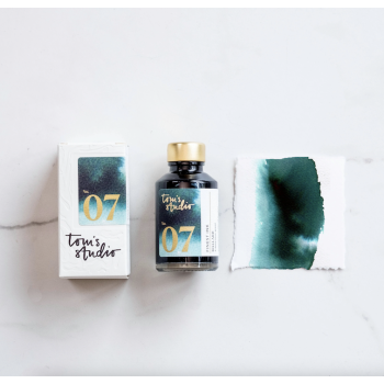Encre Tom's Studio 07 Mallard