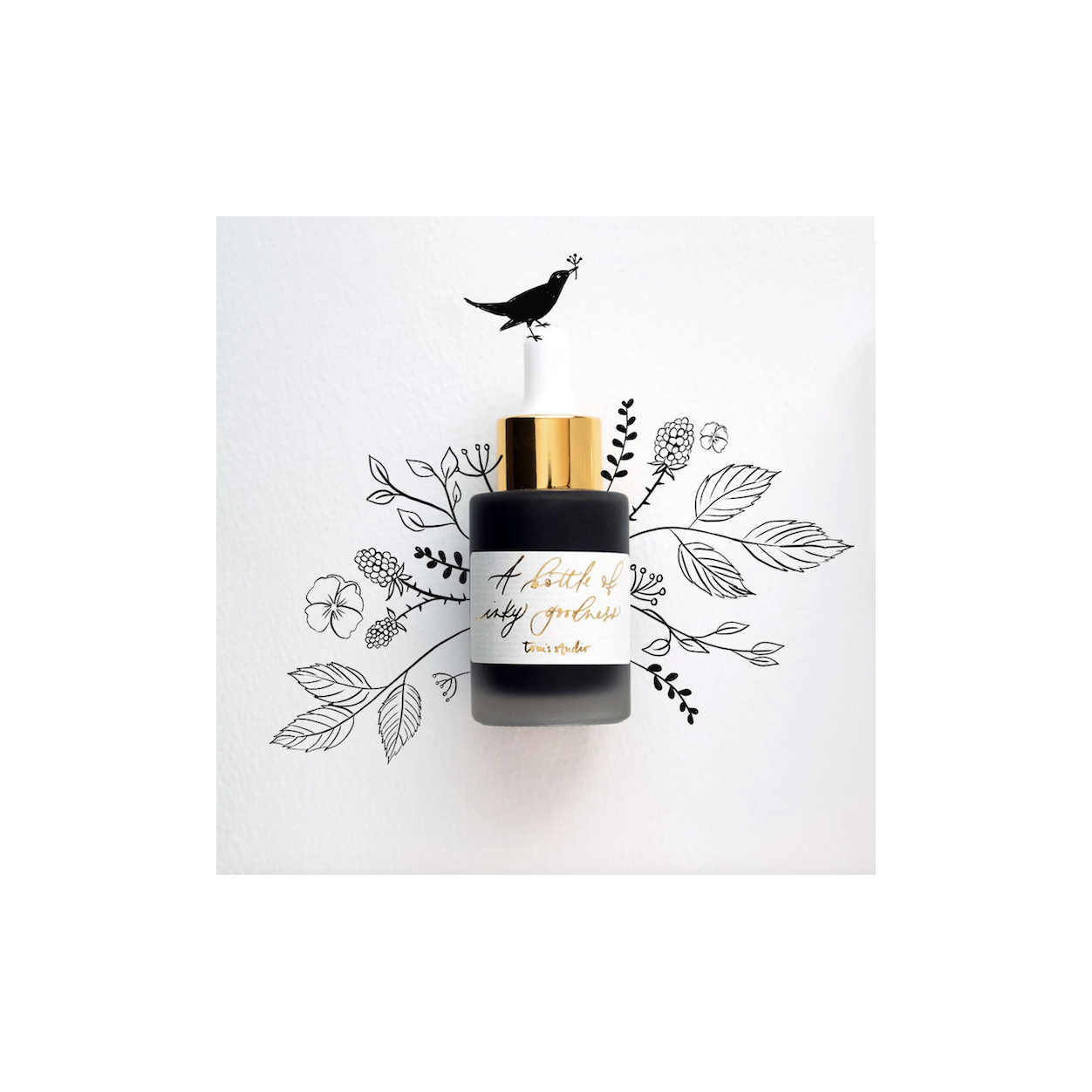 Calligraphy Ink Tom's Studio Jet Black