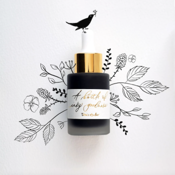 Calligraphy Ink Tom's Studio Jet Black