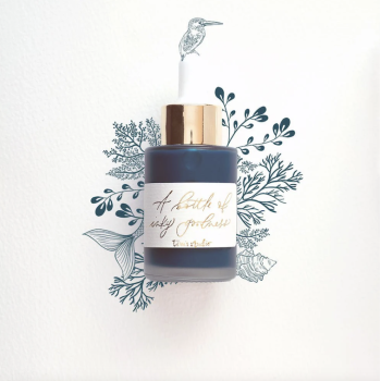 Calligraphy Ink Tom's Studio Teal