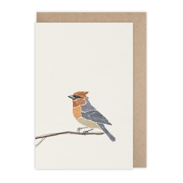 Monsieur Papier - Carte Oiseau ébouriffé