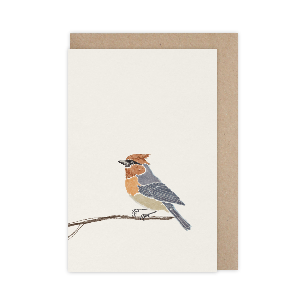 Monsieur Papier - Card Oiseau ébouriffé
