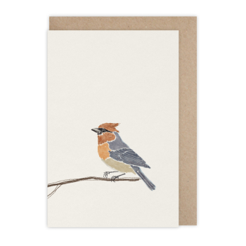 Monsieur Papier - Carte Oiseau ébouriffé