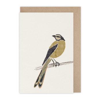Monsieur Papier - Carte Oiseau masqué