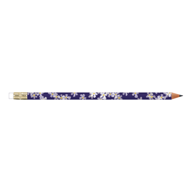 Monsieur Papier – Crayon de papier Blue Spring