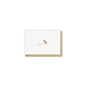 Monsieur Papier - Mini-carte 2 volets Oiseau ébouriffé
