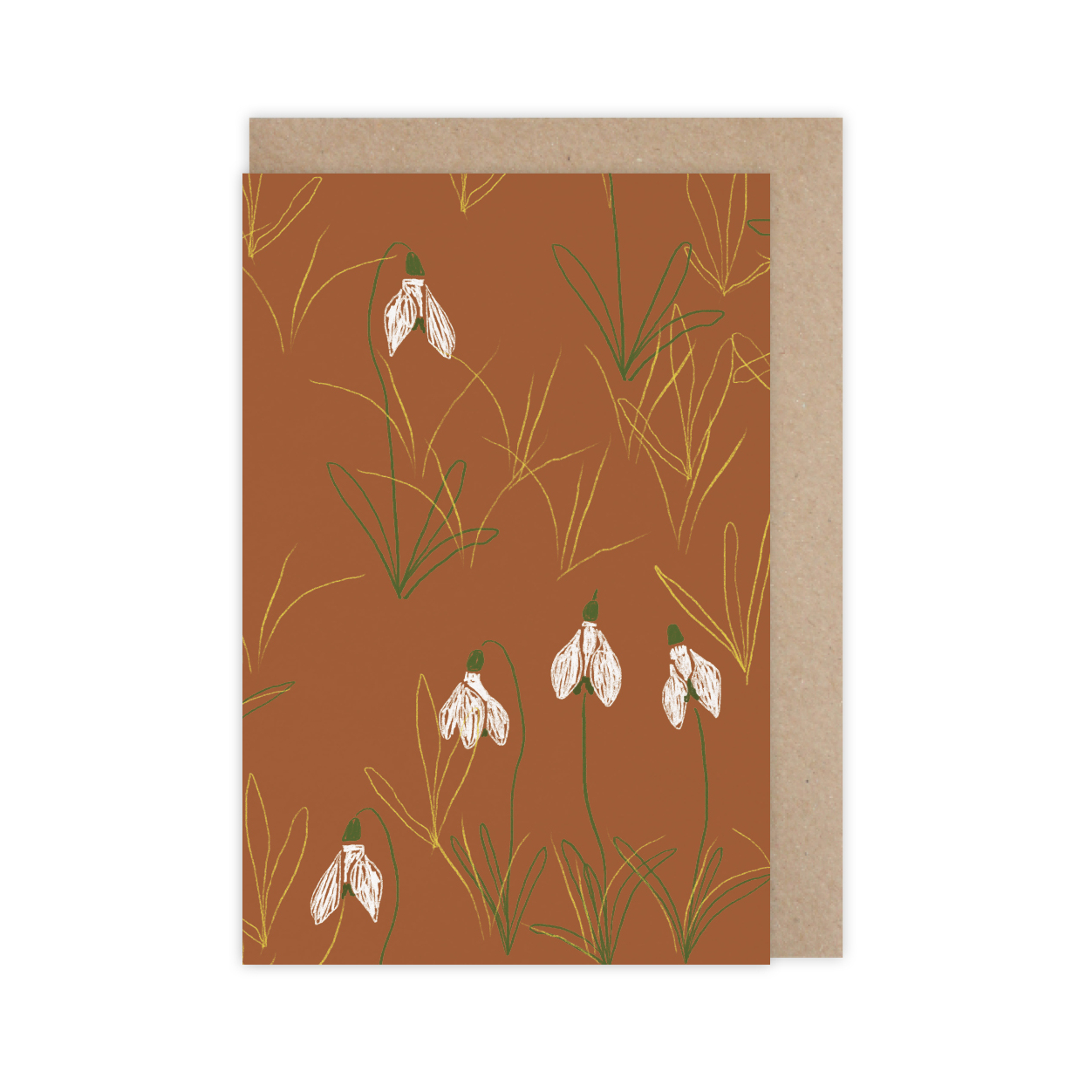 Monsieur Papier - Carte Perce-neige