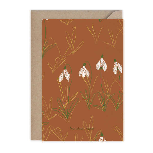 Monsieur Papier - Carte Perce-neige